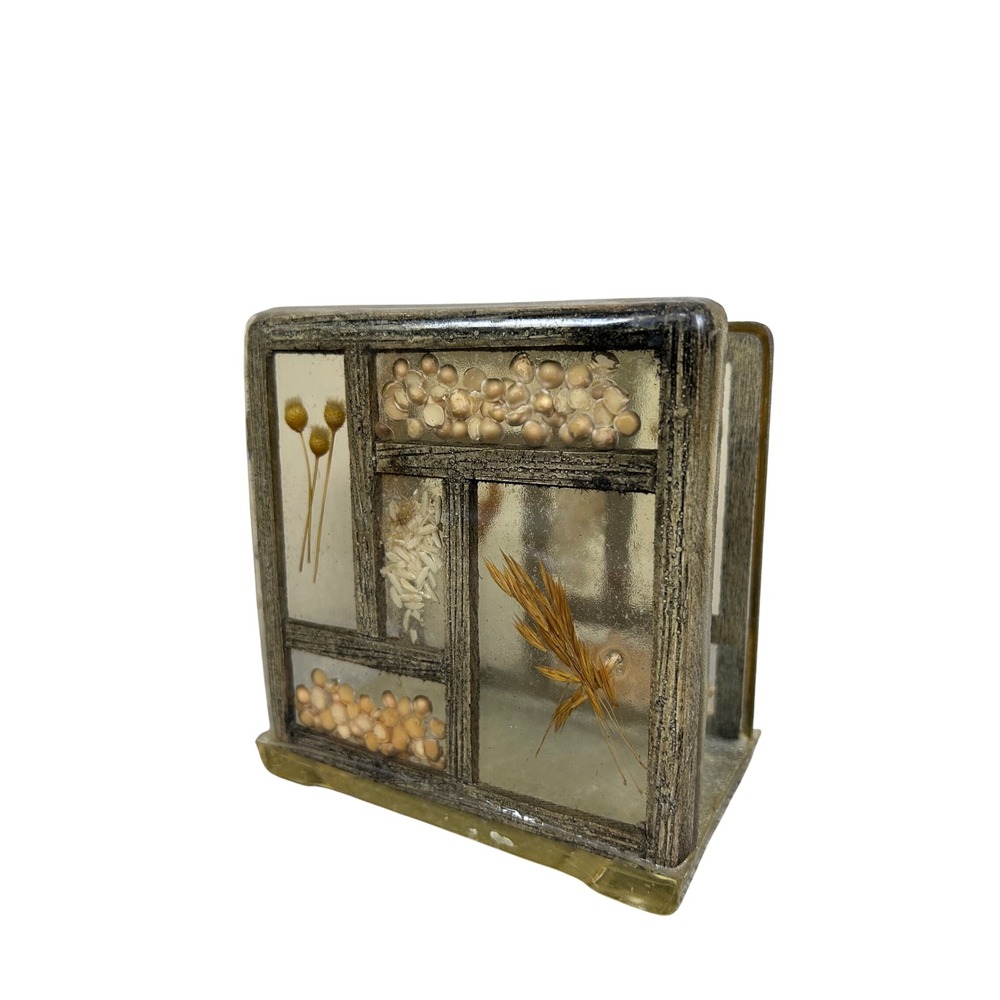 Vintage Lucite Napkin Holder Botanical Seeds Inclusions Retro Decor‎ Kitsch 70s